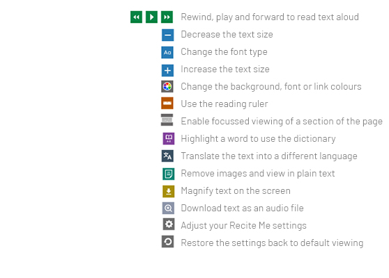 A list of settings in the Recite Me toolbar